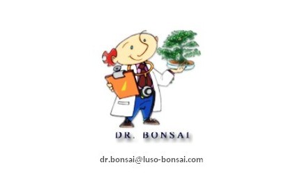 Questões Dr. Bonsai