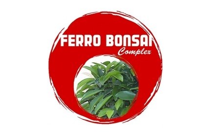 Ficha Técnica - Ferro Bonsai Complex